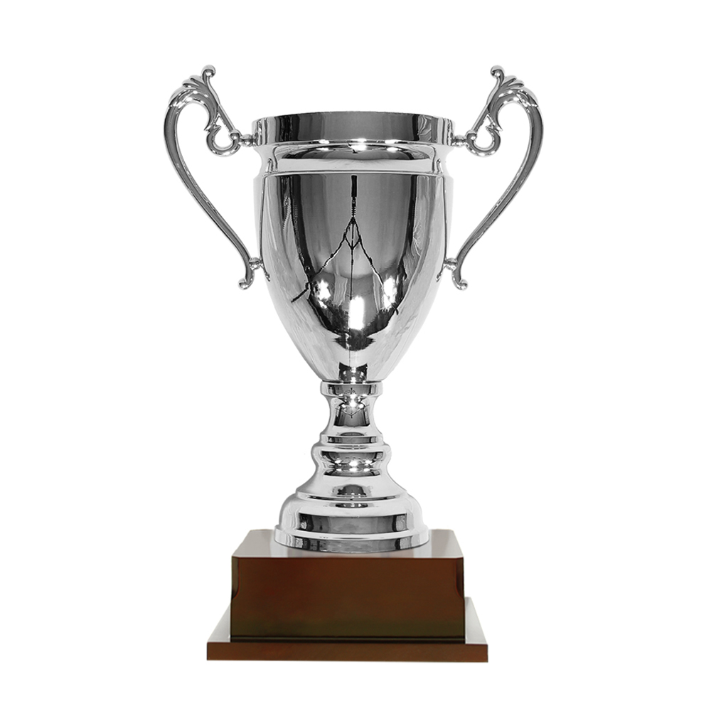 Trophy 6